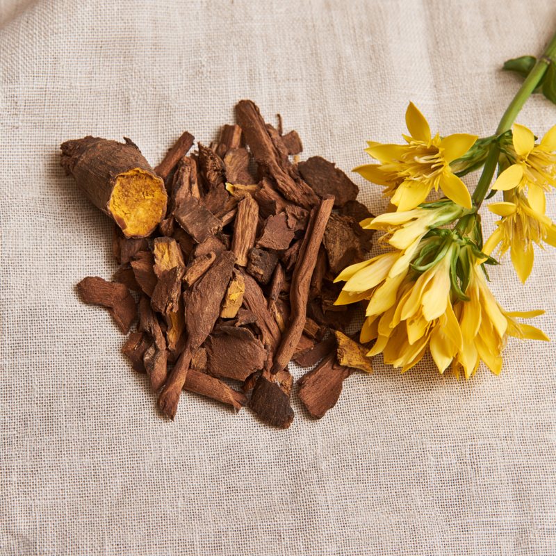Gentian root