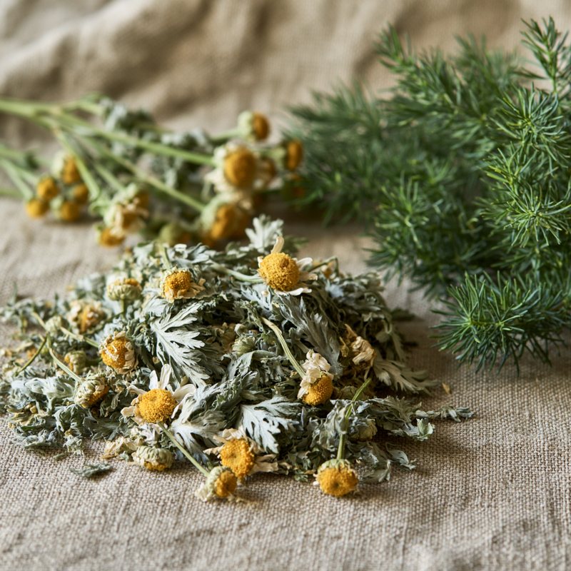 Wormwood